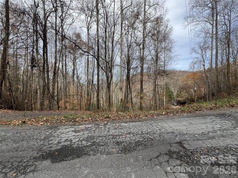 Photo of Lot 7 Deer Ridge Road, Bryson City, NC 28713 (MLS # 4423882)