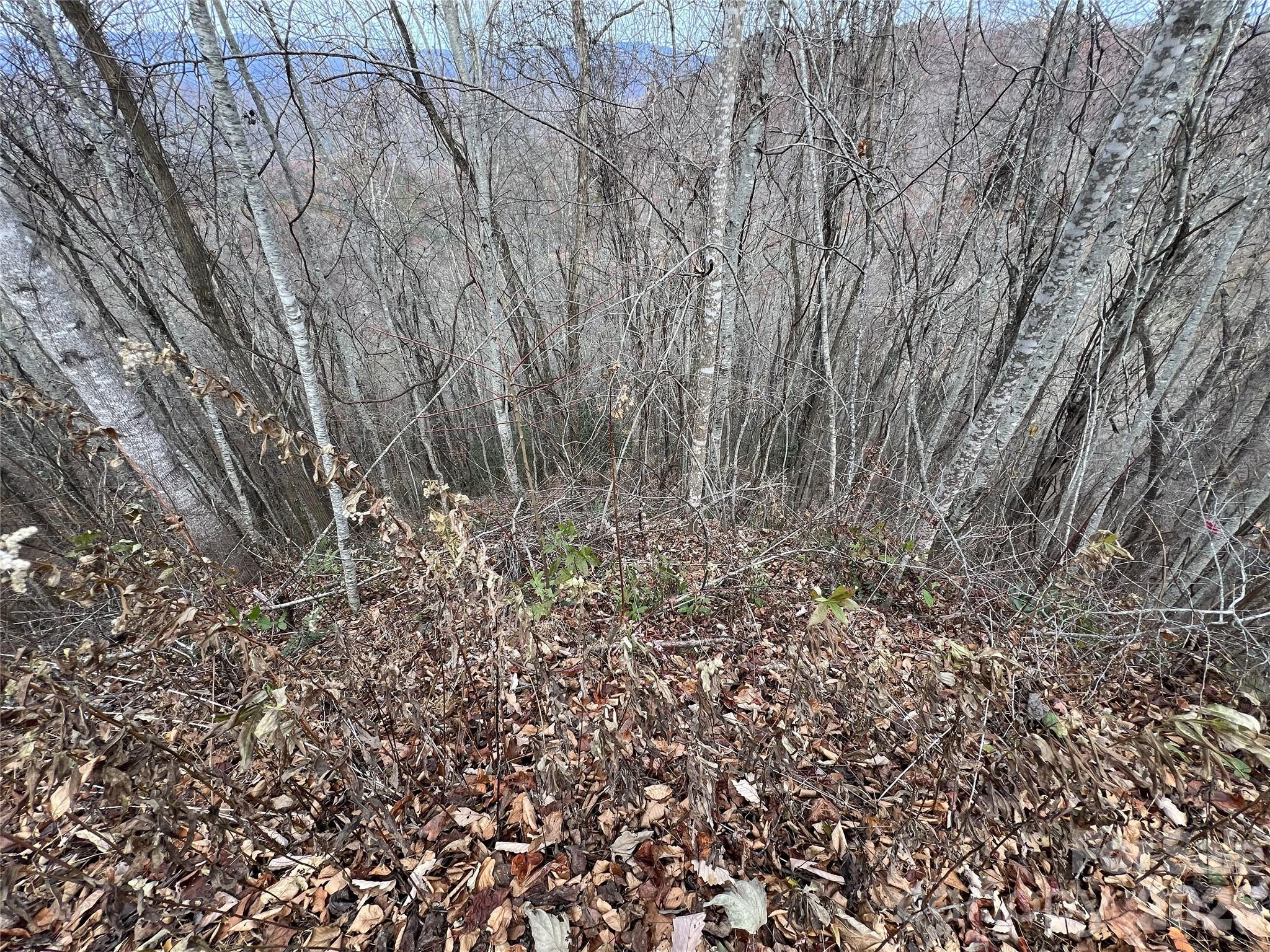 Lot 7 Deer Ridge Road