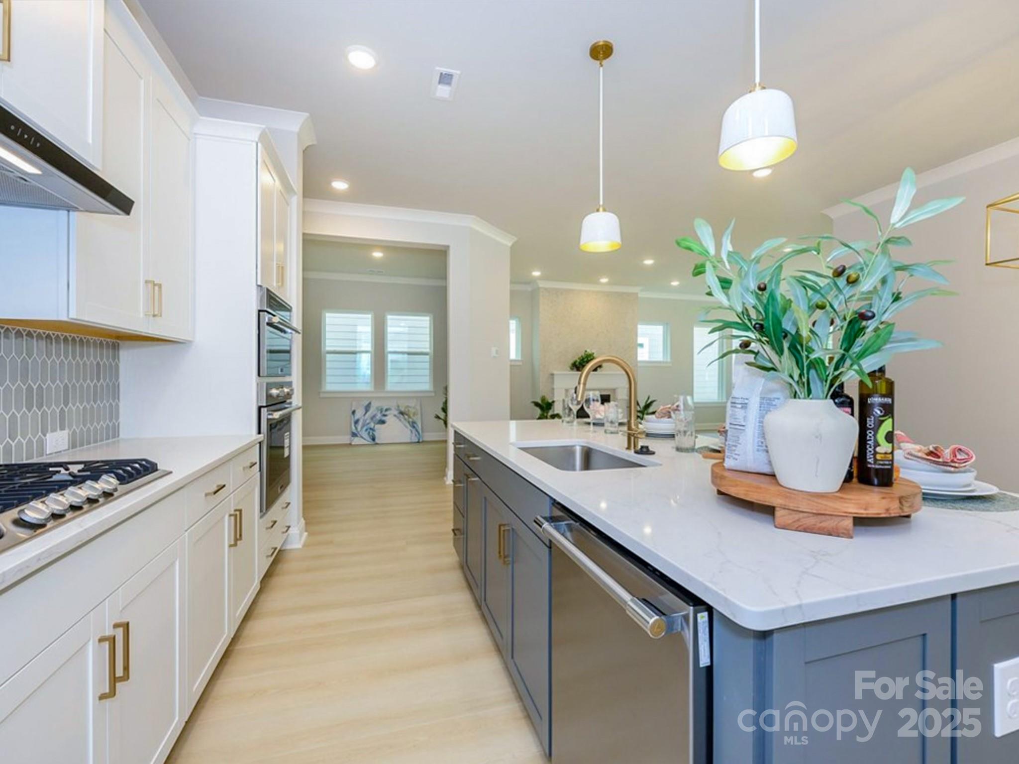 Encore at Streamside - Residential