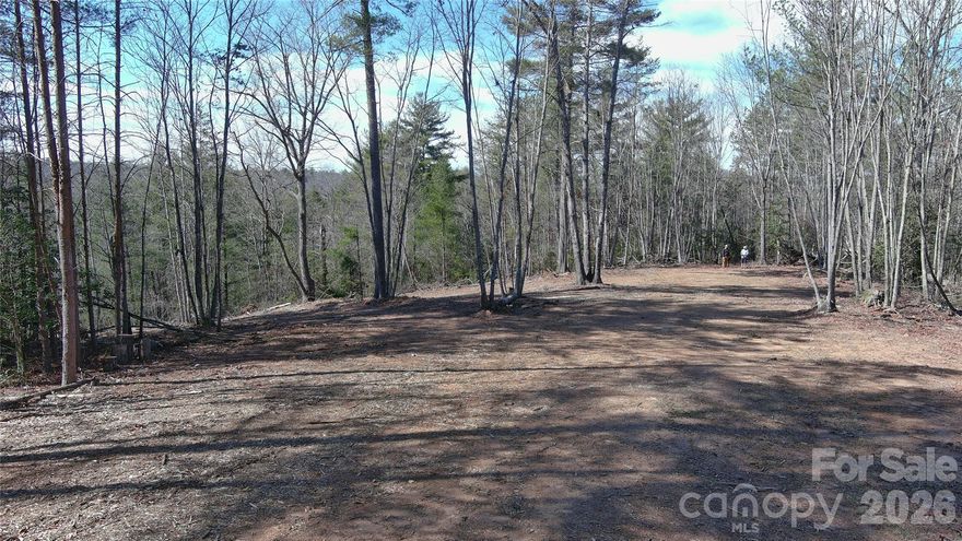 Buy the dream - not just the dirt.
Temporary address: 3372 TAYLORSVILLE ROAD, LENOIR NC 28645
Welcome to 32 acres of possibility, where nature, privacy, and vision come together. This breathtaking tract offers more than land; it offers a lifestyle. Tucked among rolling hardwoods and winding trails, this property invites you to slow down, spread out, and build something truly special.

An abundance of wildlife roams freely throughout the property, making it a haven for nature lovers and outdoor enthusiasts alike. Springs and creeks add both beauty and serenity, creating the perfect backdrop for quiet mornings and unforgettable evenings.
With multiple potential homesites, and gravel roads, and a gravel RV pad the land offers flexibility.
Whether you imagine sipping coffee as the woods come alive around you, exploring your own trails, or building a legacy property to enjoy for generations, this is where that dream begins.
This isn’t just land.
It’s space to breathe.
It’s room to grow.
It’s the dream you’ve been waiting for.