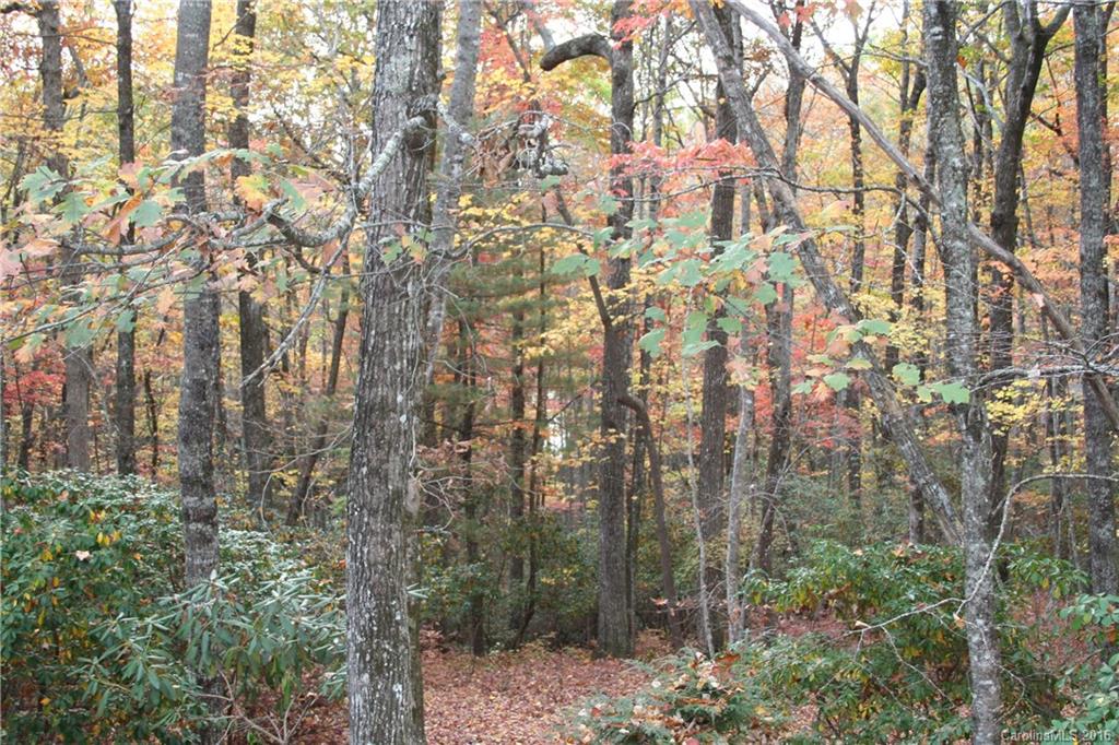 Connestee Falls - Residential