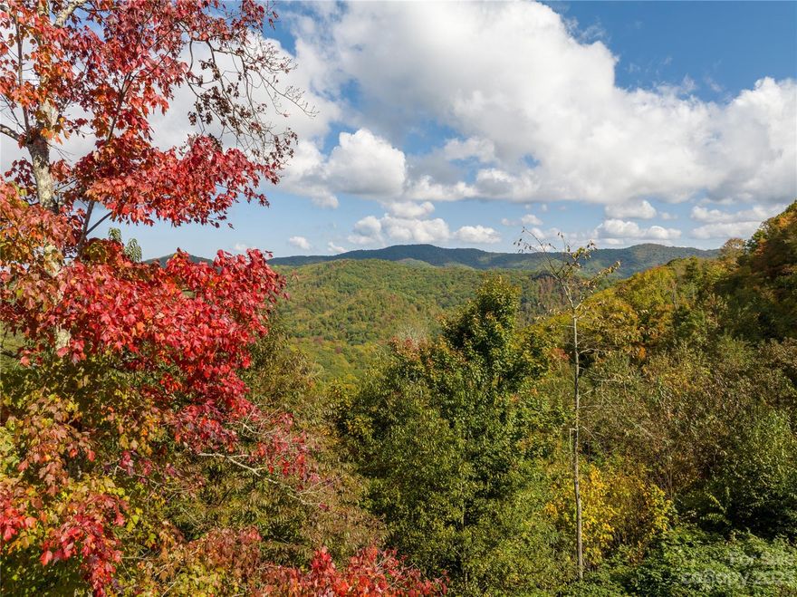 34.38 +/- acres of pristine forest, creek and ridgeline located less than a mile from the Tennessee line and the Appalachian Trail! The cleared building site at the top of the parcel provides mountain views that must be seen to be believed: check it out at youtube/_I91n1EExEQ?si=sM0OSeZU7EnipLSi  (Northy Cove). The graded road to the top makes access a breeze. Some 800 acres of forest service land surrounds this parcel on 3 sides, providing you with unparalleled privacy. Add some solar panels and make it an off-grid haven! The spring-fed 4-season creek provides lots of water, and the deep spring-fed pond is waiting for you to stock it with trout. The mature trees provide a rich habitat for deer, turkey and bear, as well as excellent foraging for native plants and mushrooms. Cultivate your own valuable ginseng here! Although the location feels like it is worlds away, it is only 15 minutes to Unicoi TN and 30 minutes to the restaurants, shopping, music and arts in Johnson City TN.