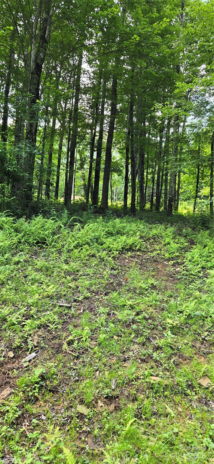 108 Tenderfoot Trail 108 & 109