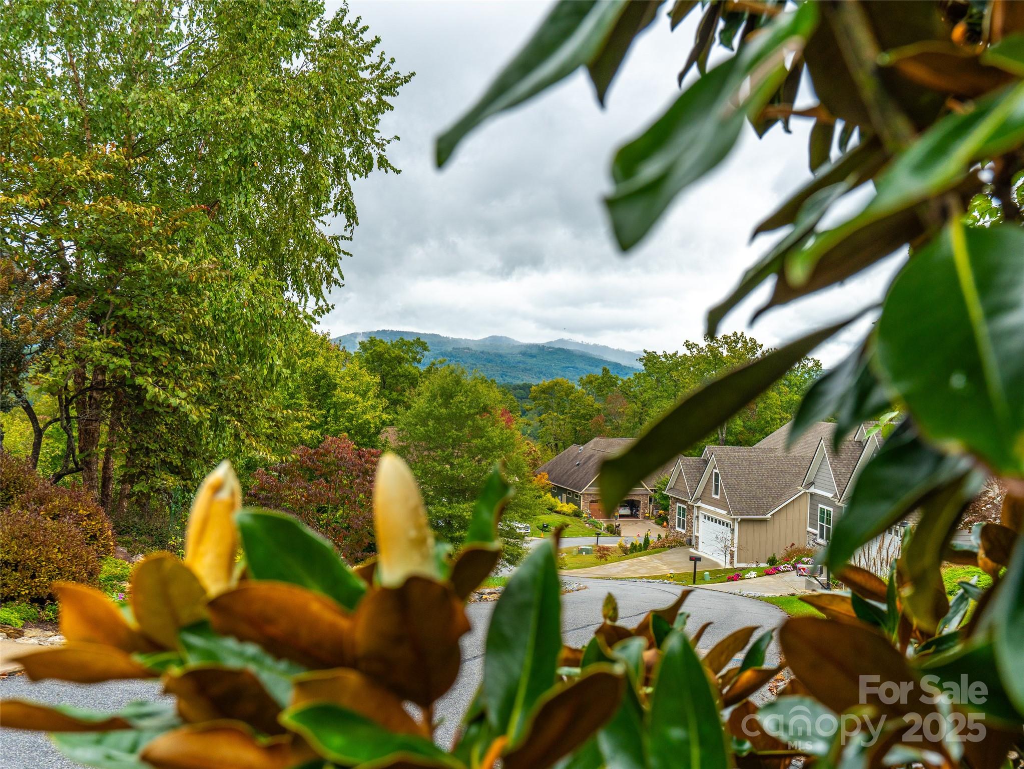 Carriage Park - Land