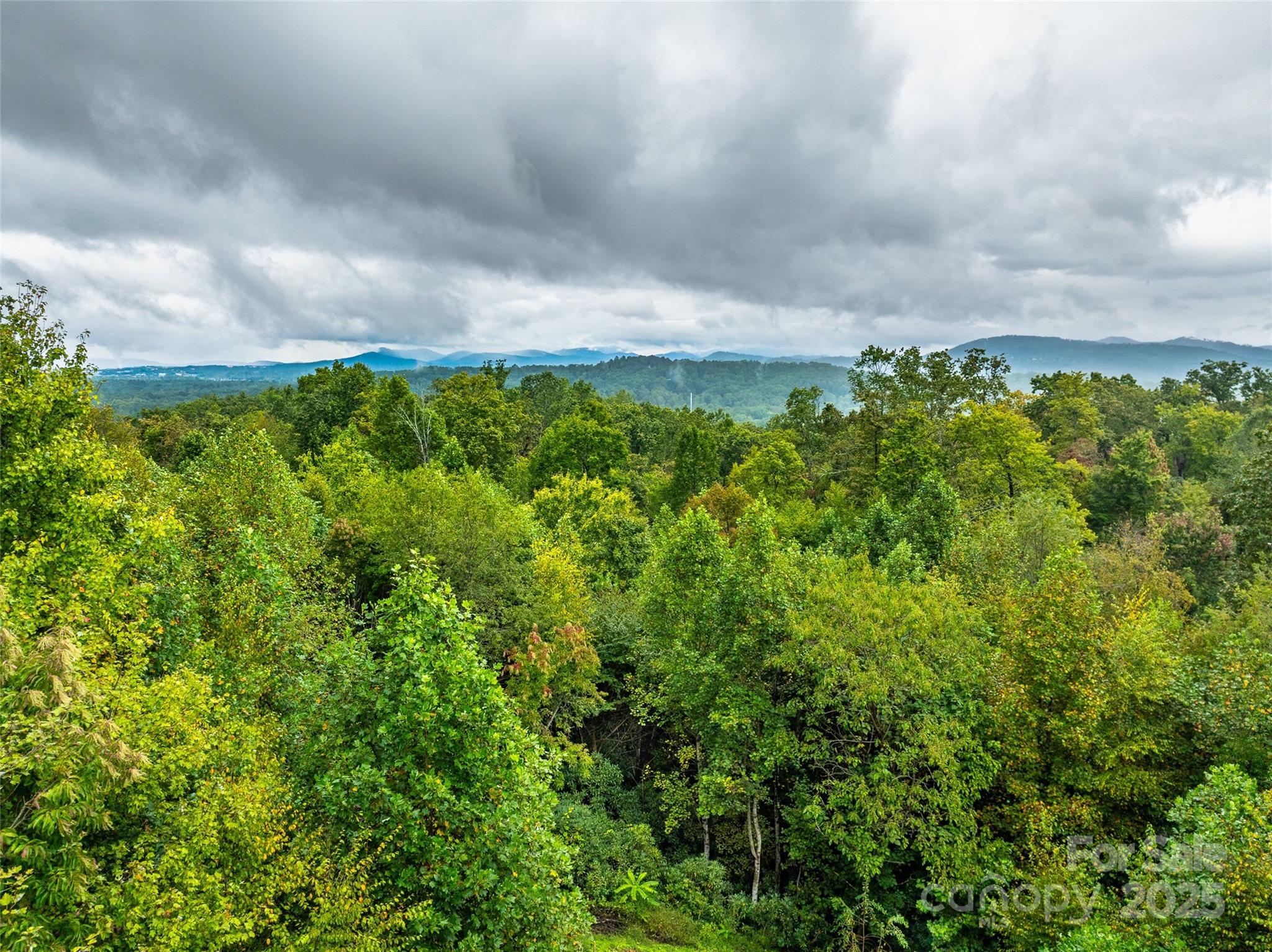 Carriage Park - Land