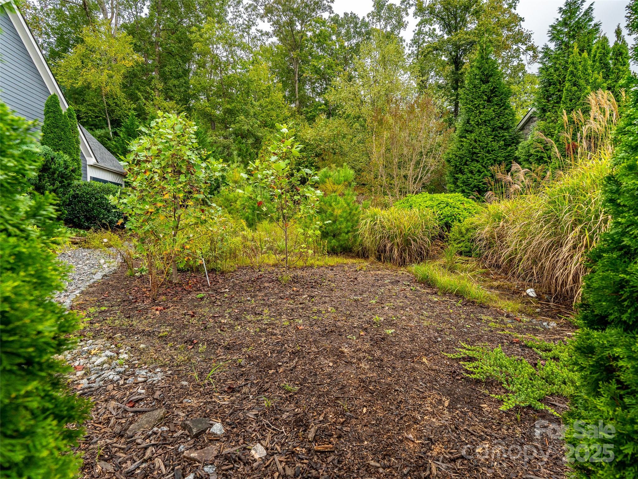 Carriage Park - Land