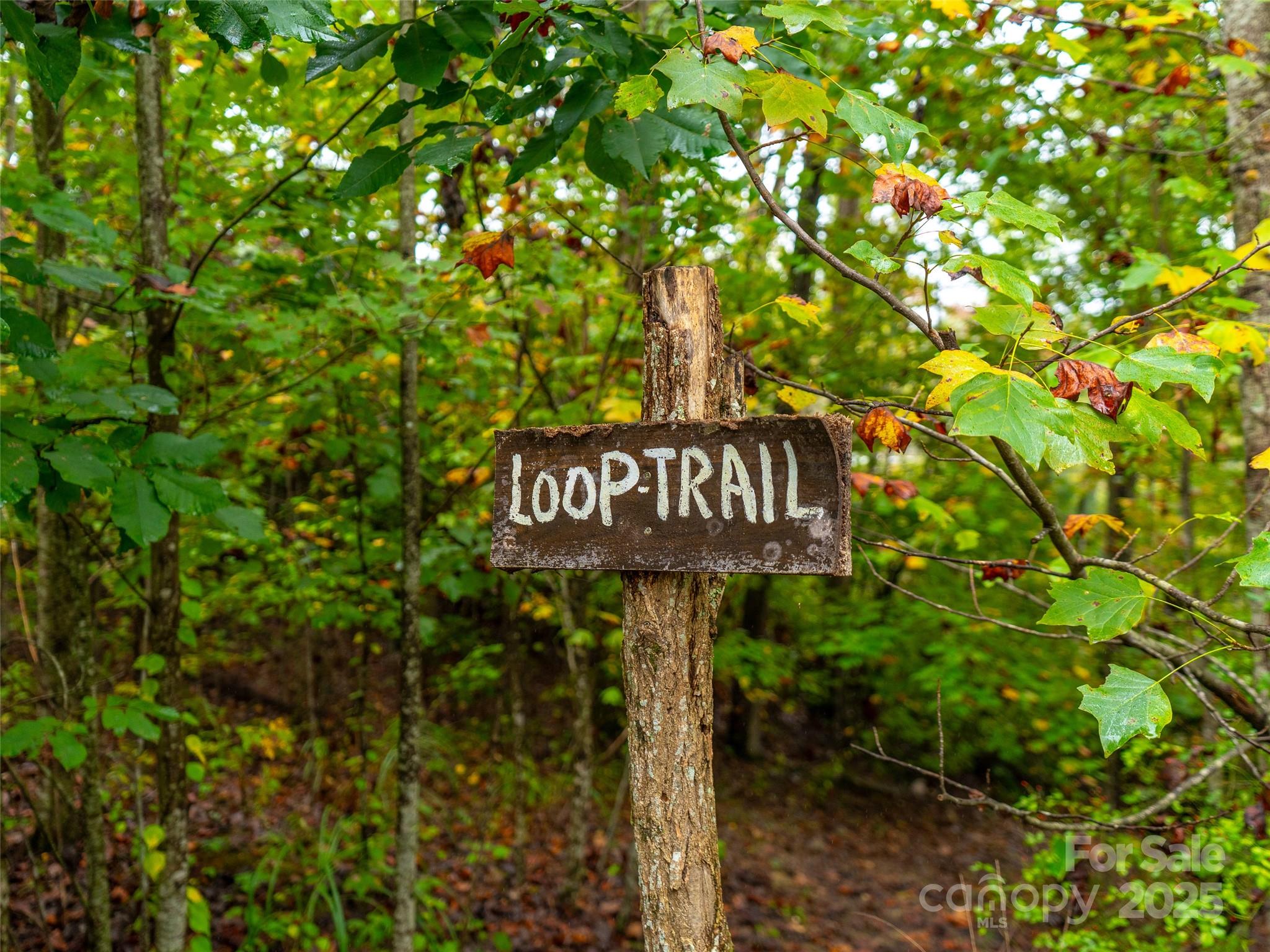 Carriage Park - Land