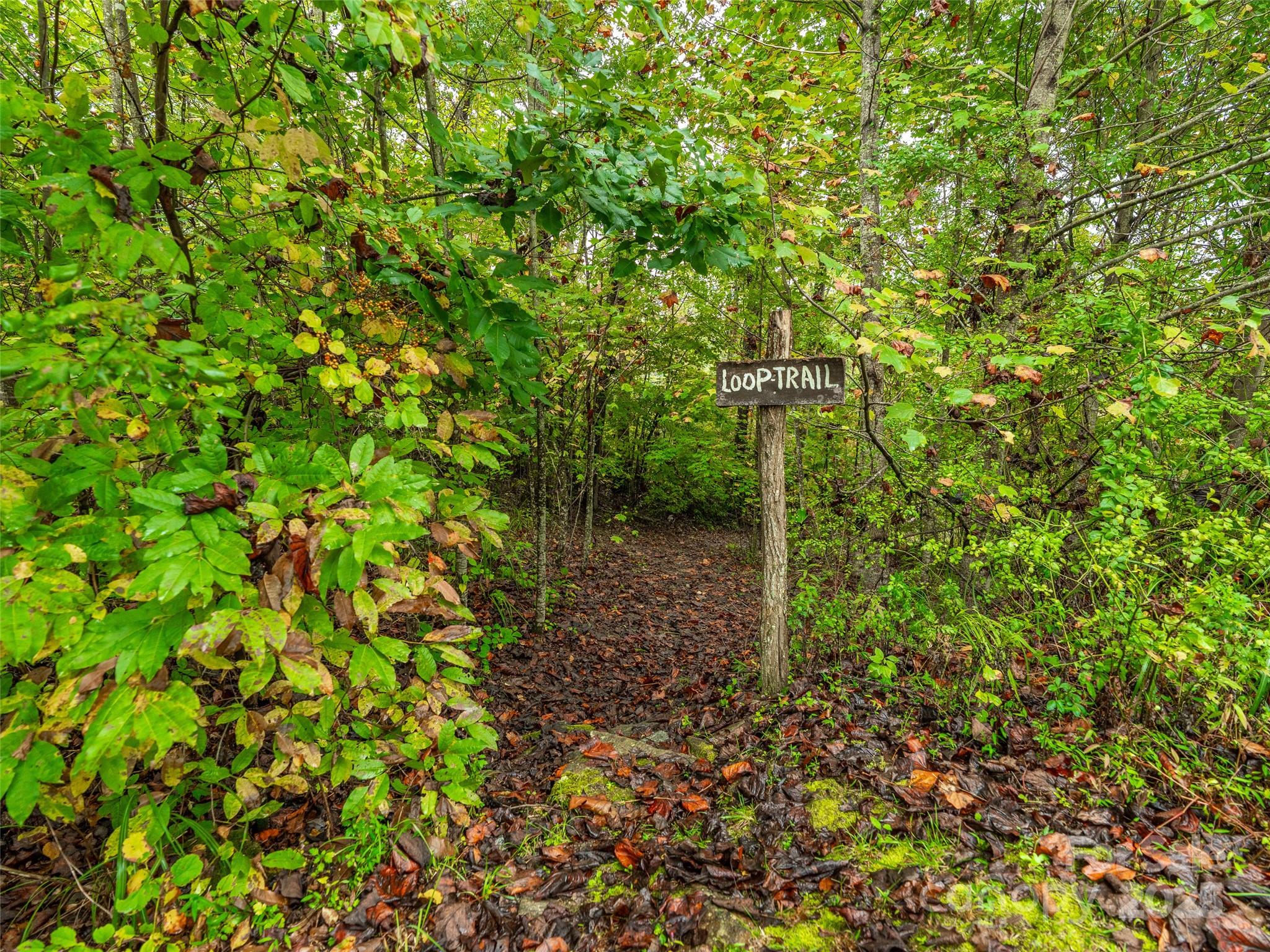 Carriage Park - Land