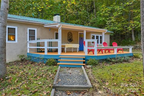 1087 N Turkey Creek Road Leicester NC 28748