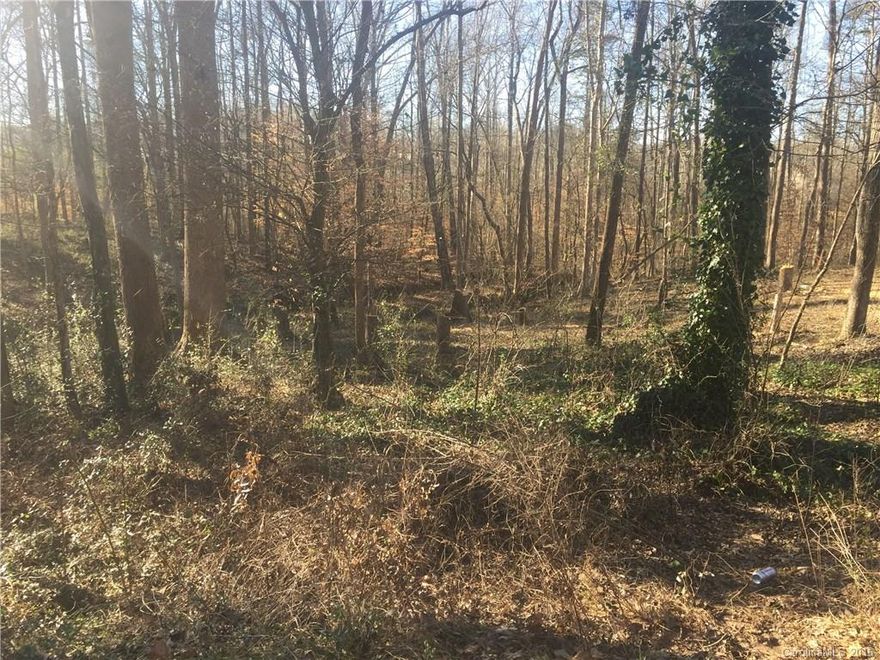 Large lot ready for your custom built home in Olde Williamsburg. Close to all Fort Mill and Ballantyne have to offer. Affordable SC Taxes. Well not currently drilled. Wetland and survey info is attached.  From seller: Orange ties follow the ditch that is supposedly wetlands.We etched out the house opposite from the wetland so someone may build there away from it. You can leave wetland alone or fill it.