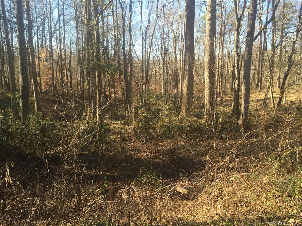 Olde Williamsburg - Land