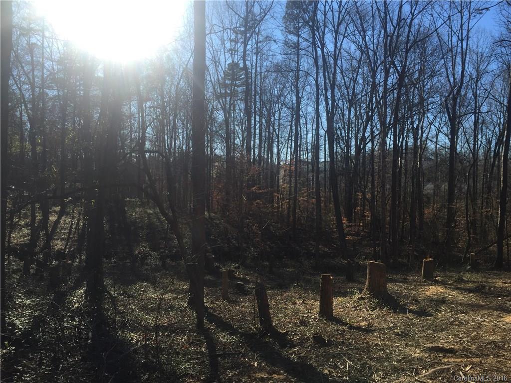 Olde Williamsburg - Land