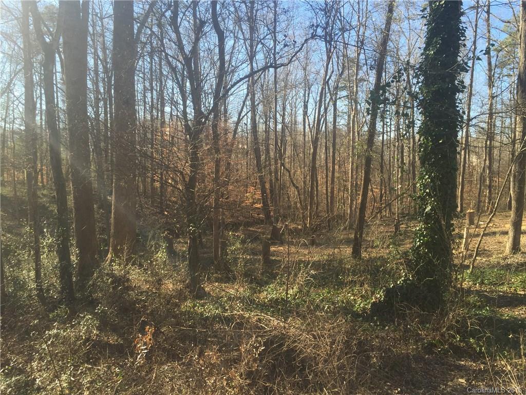 Olde Williamsburg - Land