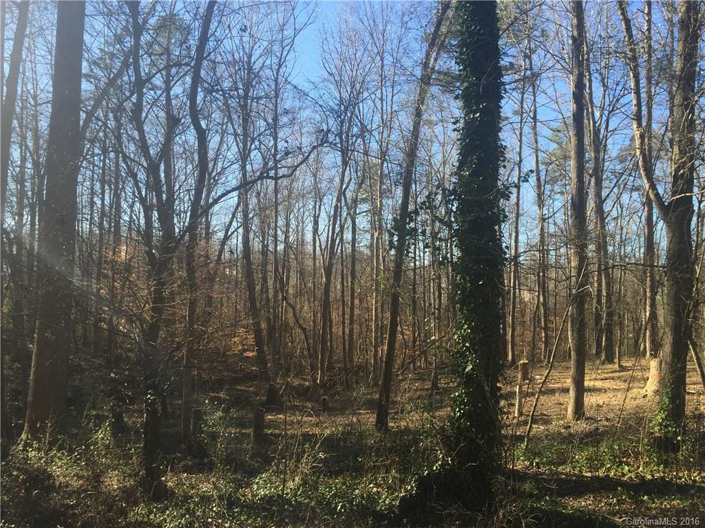 Olde Williamsburg - Land