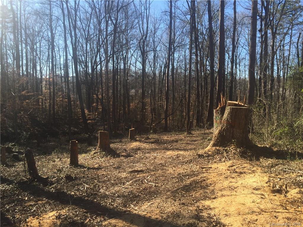 Olde Williamsburg - Land