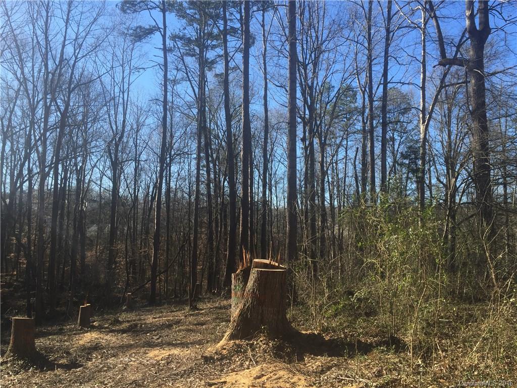 Olde Williamsburg - Land