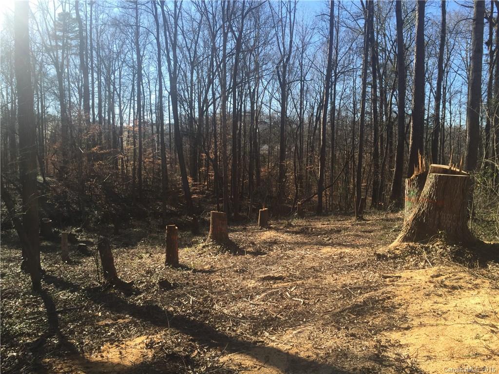 Olde Williamsburg - Land