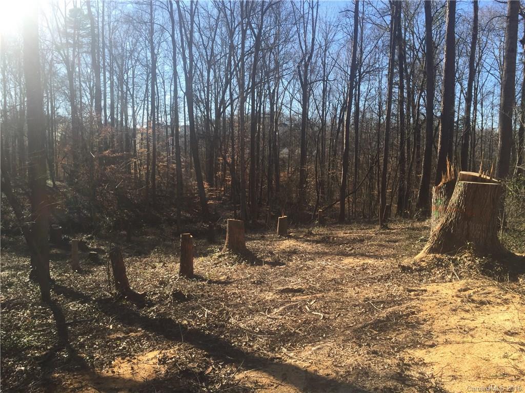 Olde Williamsburg - Land