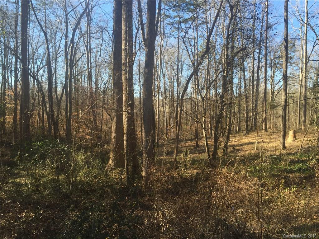 Olde Williamsburg - Land