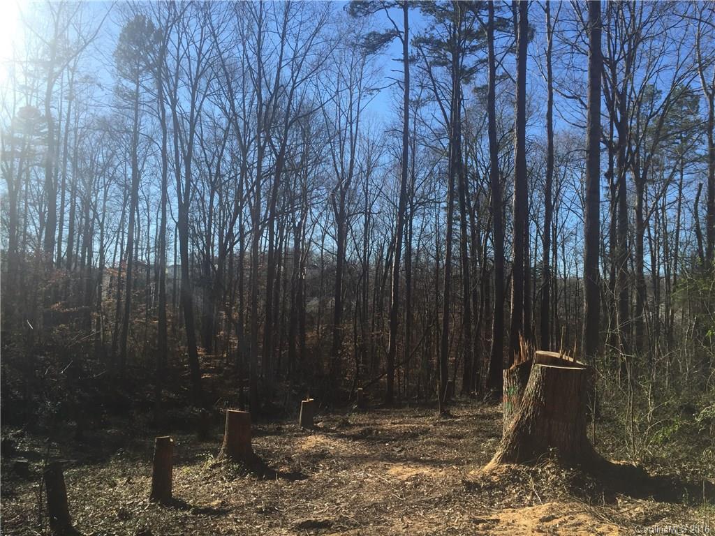 Olde Williamsburg - Land