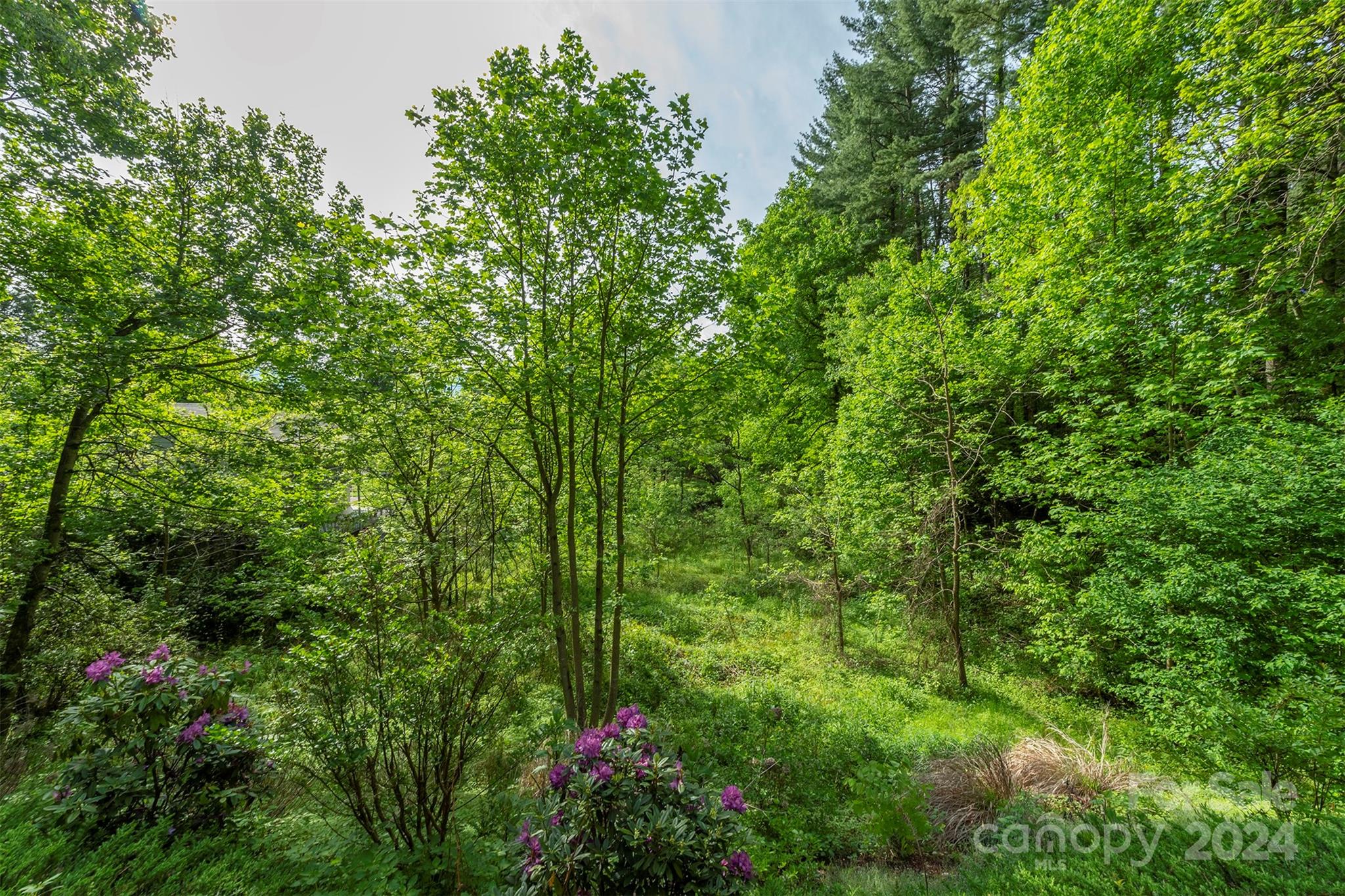 Laurel Ridge - Residential