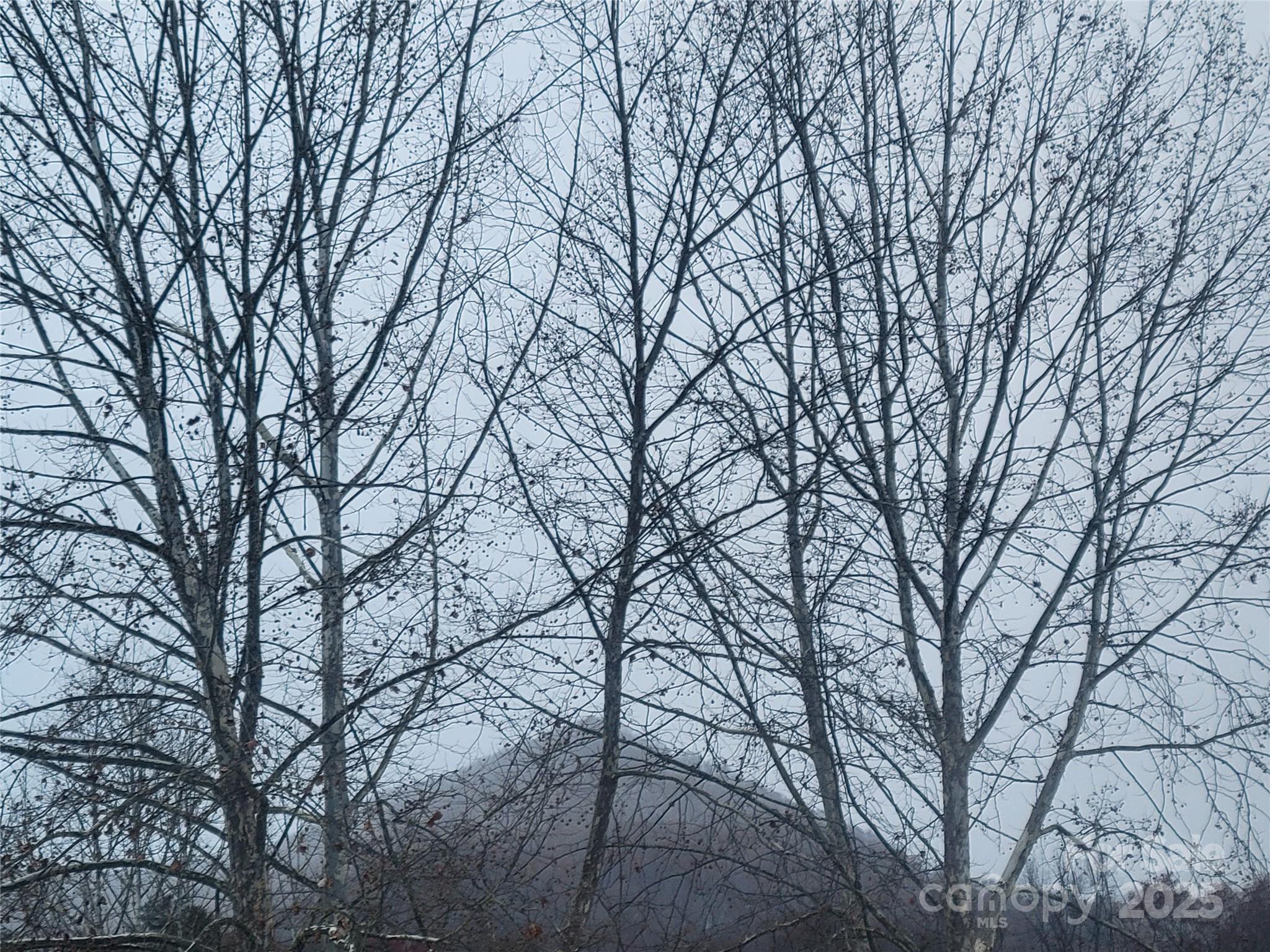 Dogwood Lakes - Residential