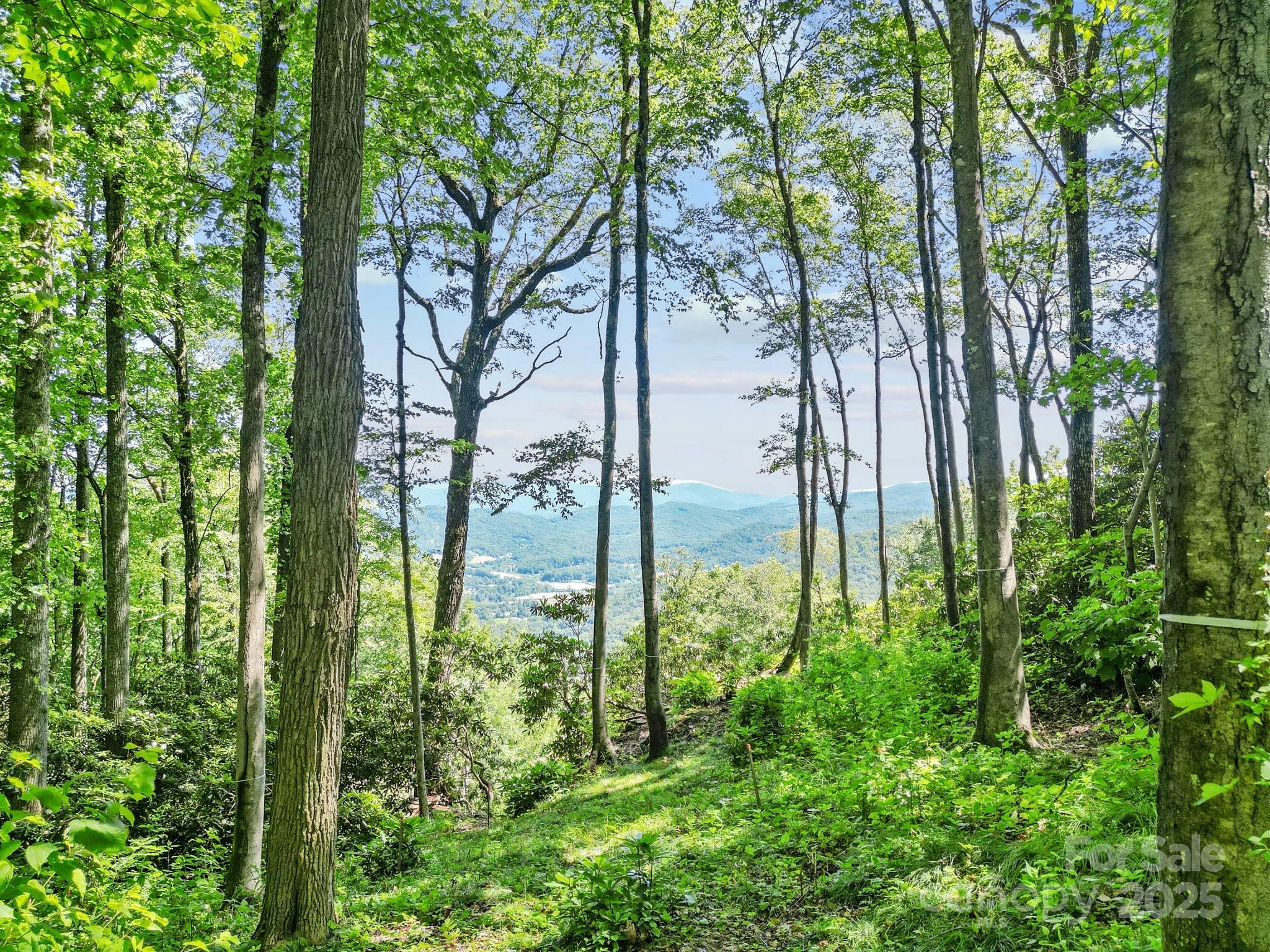 4 Laurel Ledge Way 16