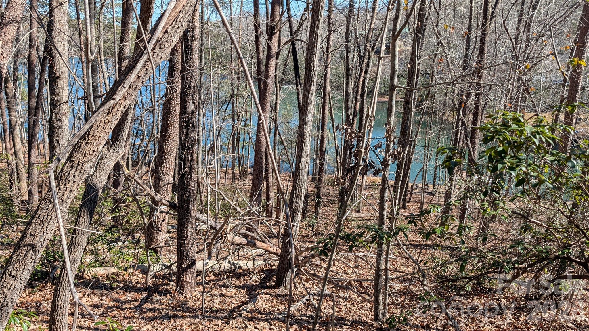 Shumont Estates - Land