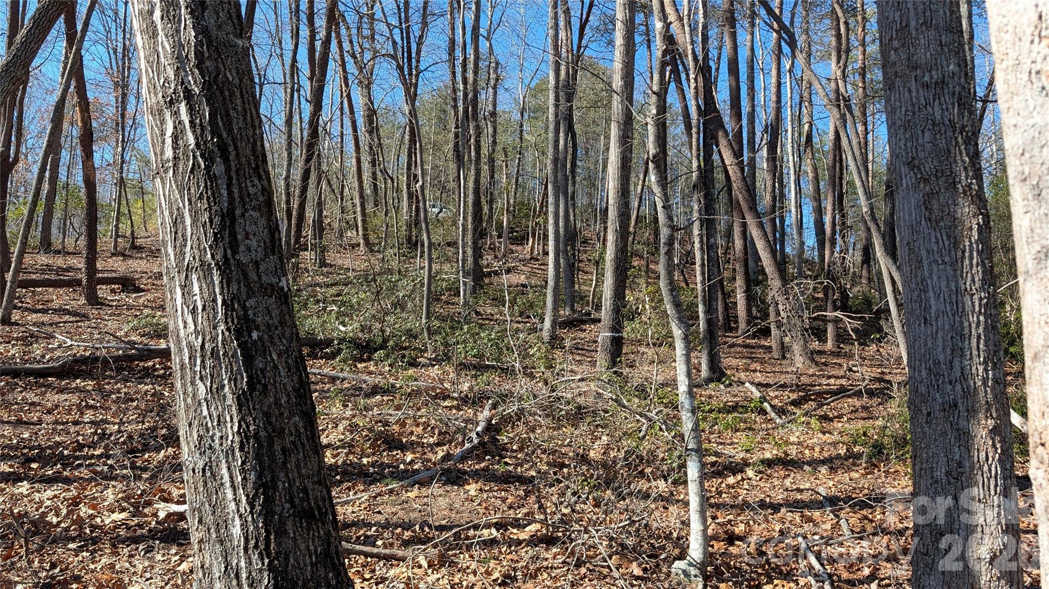 Shumont Estates - Land