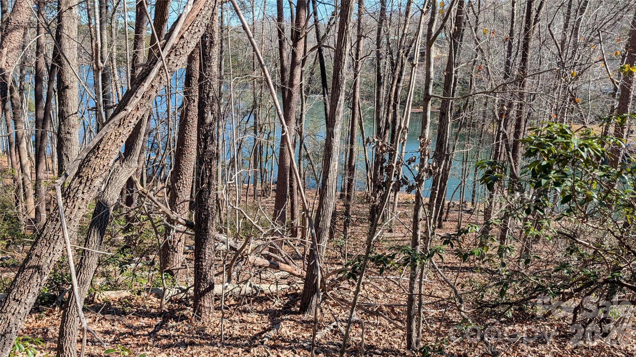 Shumont Estates - Land