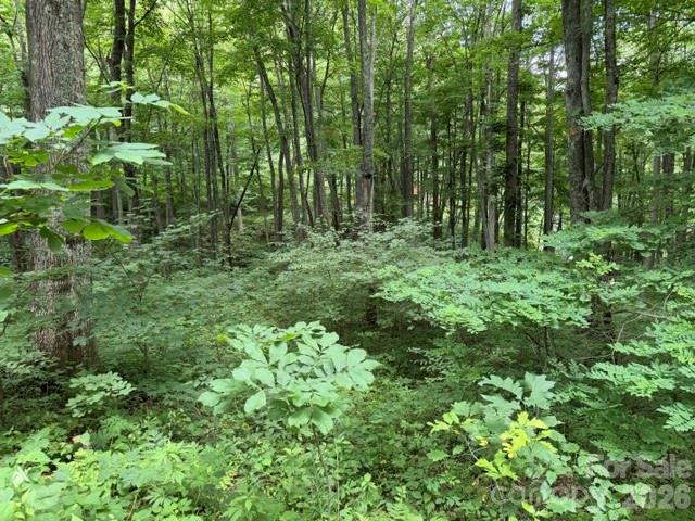 Lot 35 Odalu Trail 35