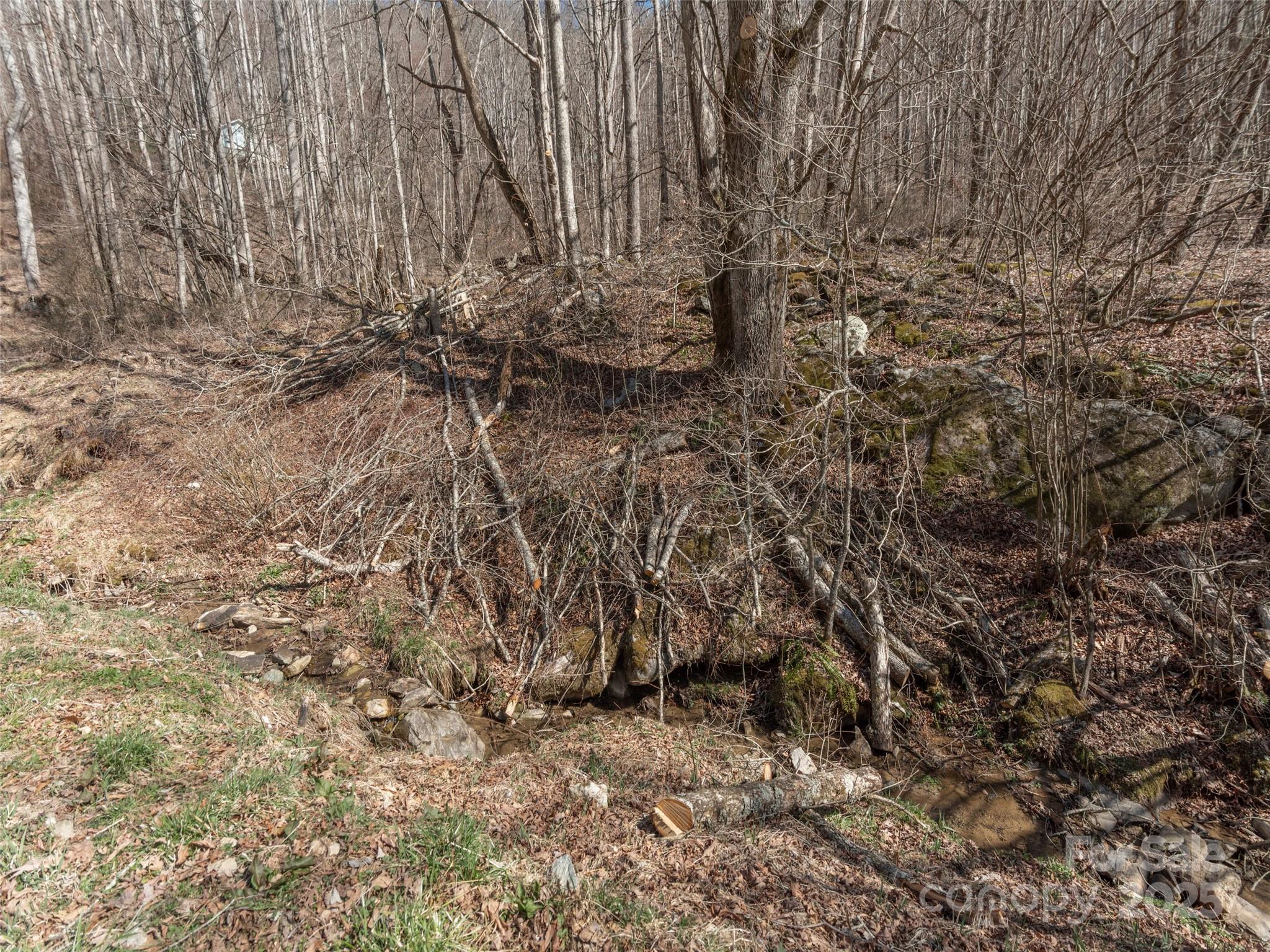 99999 Gibson Branch Road