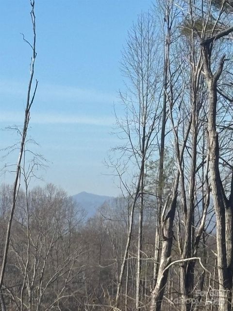 905 Hutch Mountain Road Fletcher NC 28732