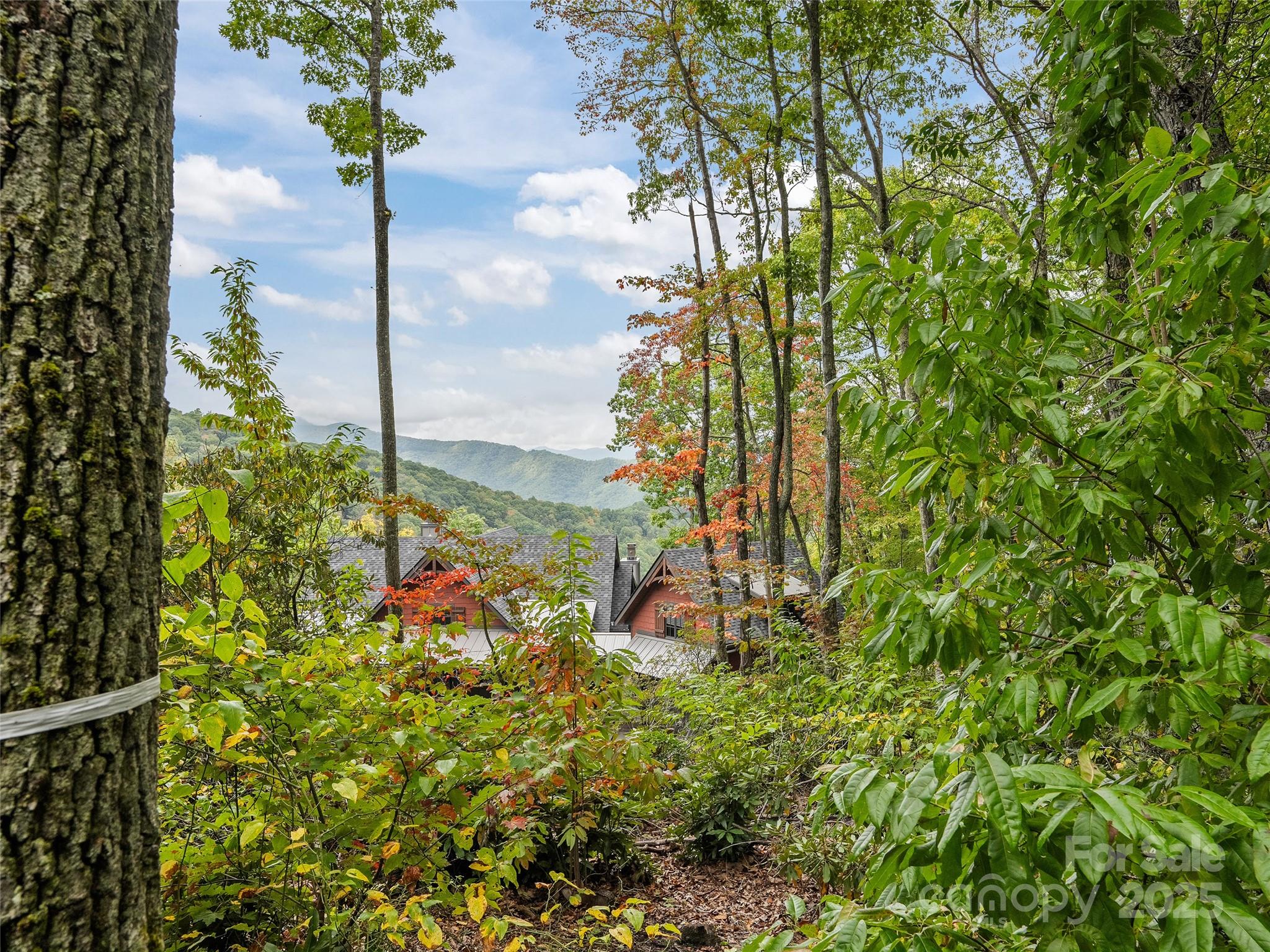 Highland Forest - Land