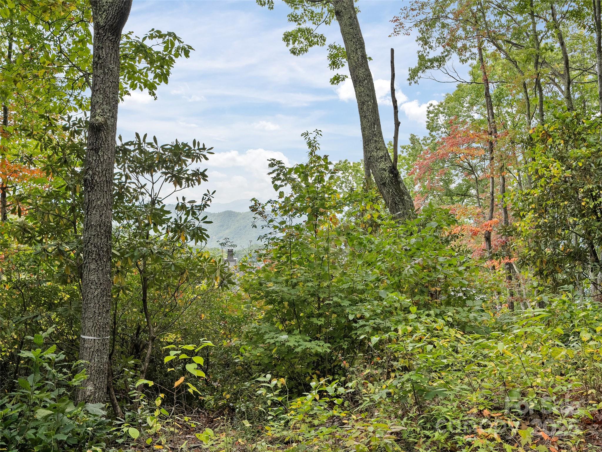 Highland Forest - Land