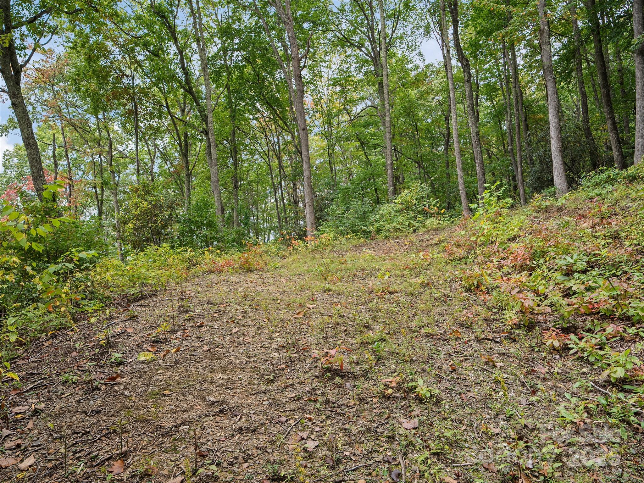 Highland Forest - Land