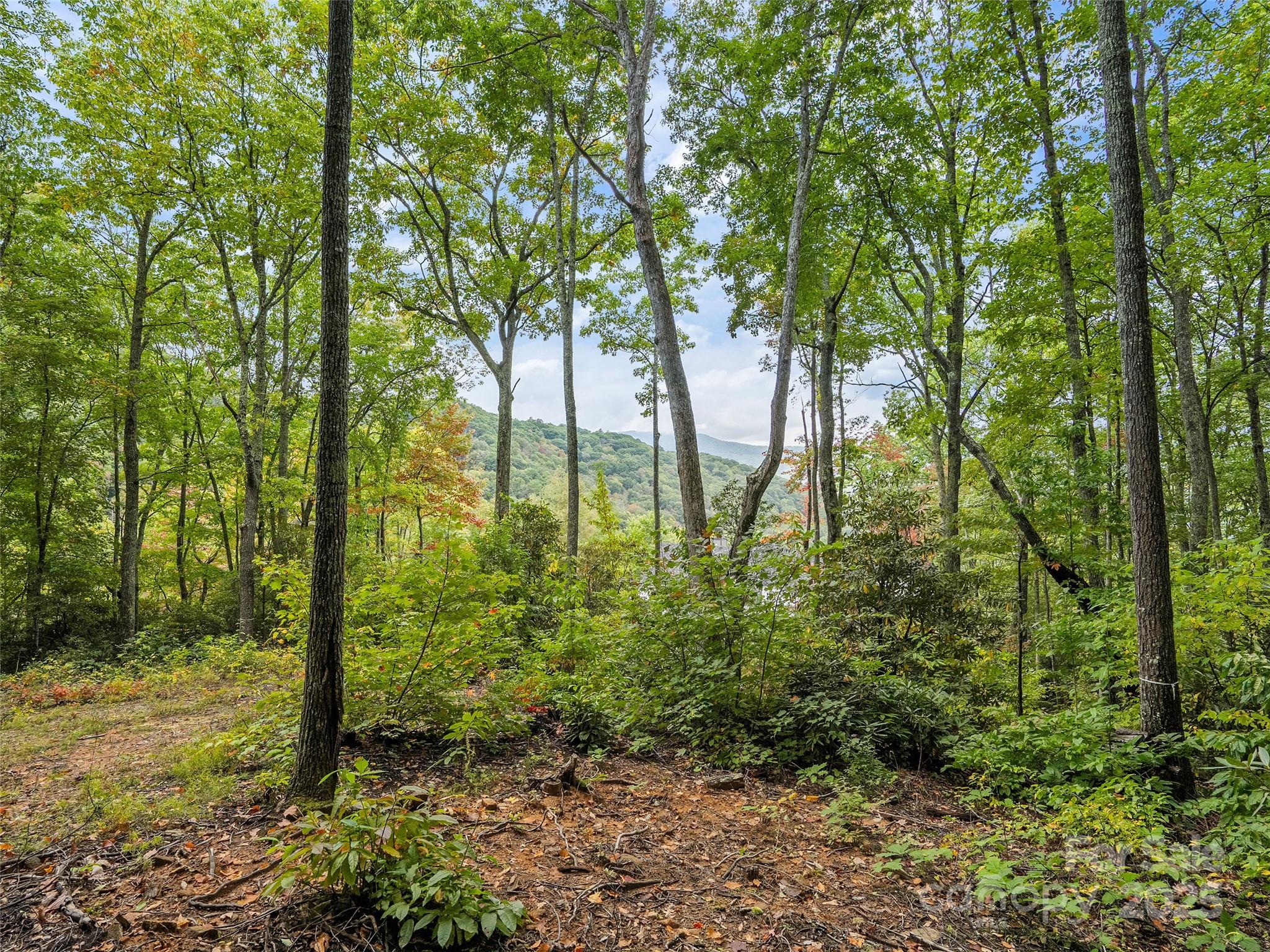 Highland Forest - Land