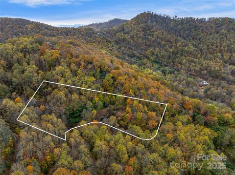 45 Flora Rose Trail Asheville NC 28803