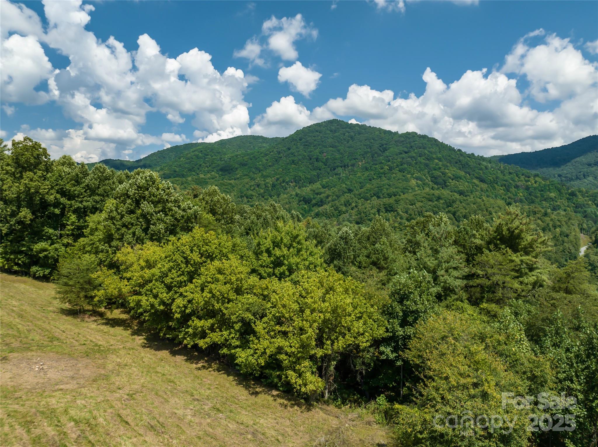 French Broad Crossing - Land