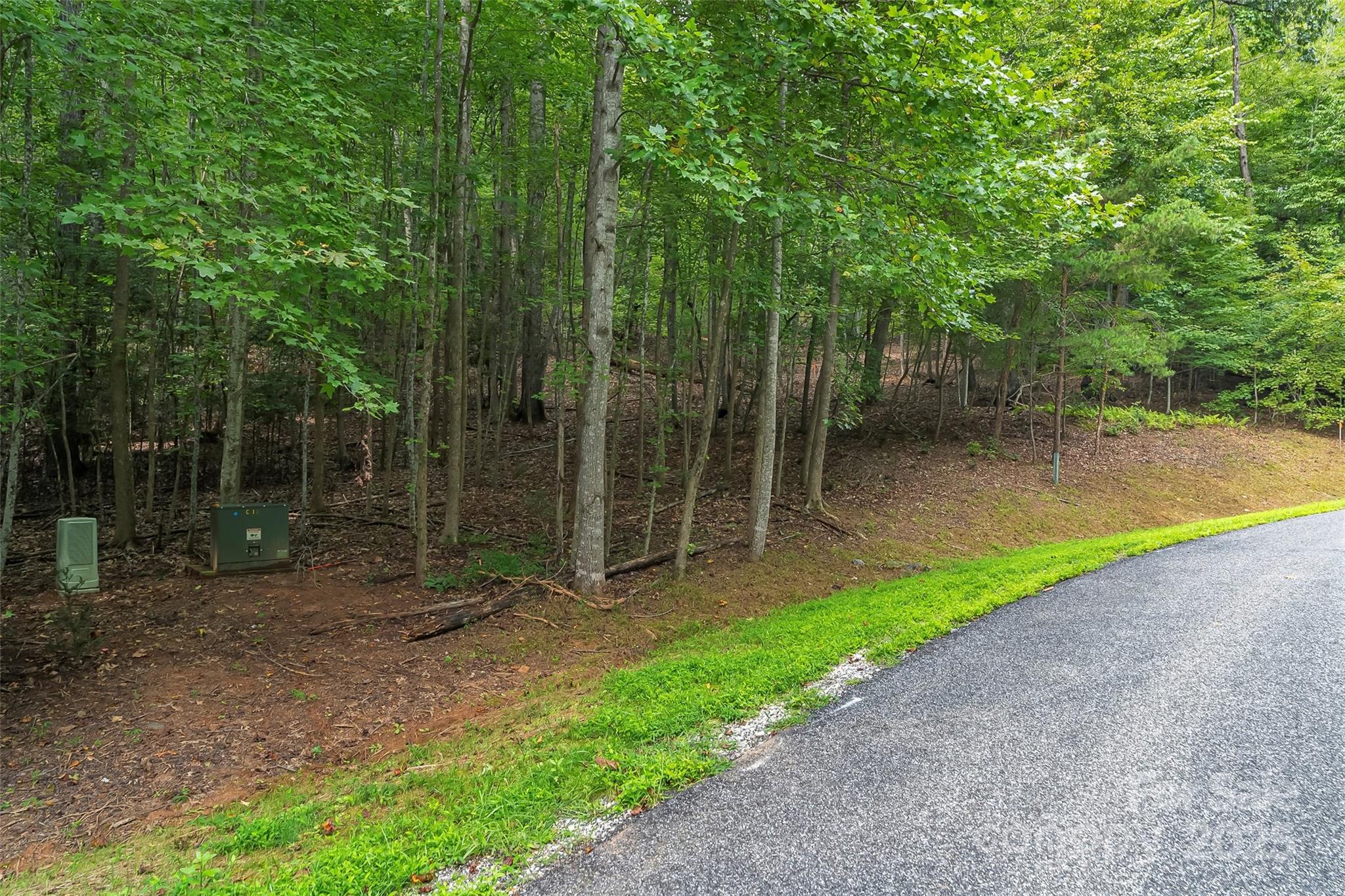 The Arbor at Lake James - Land