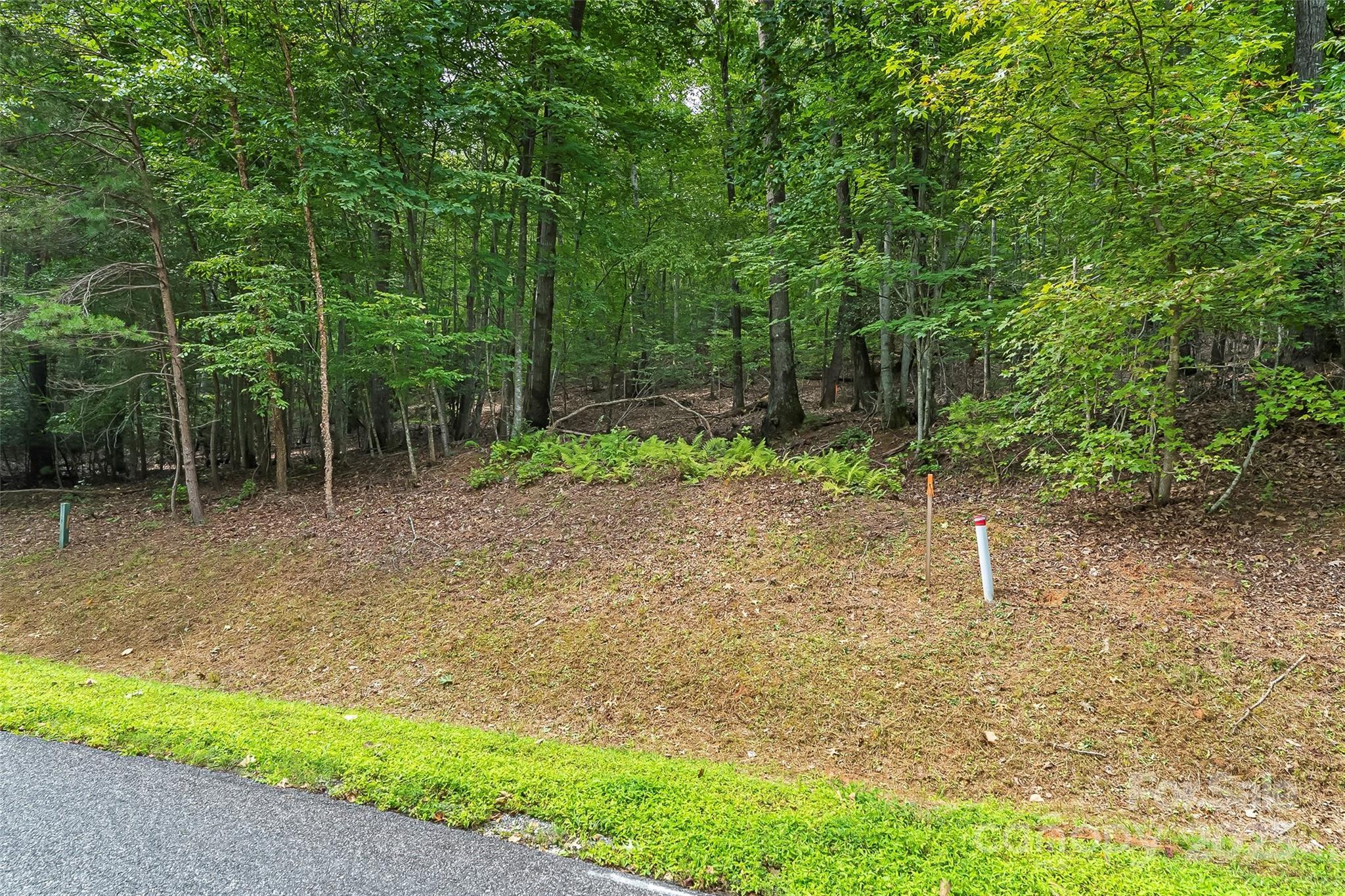 The Arbor at Lake James - Land