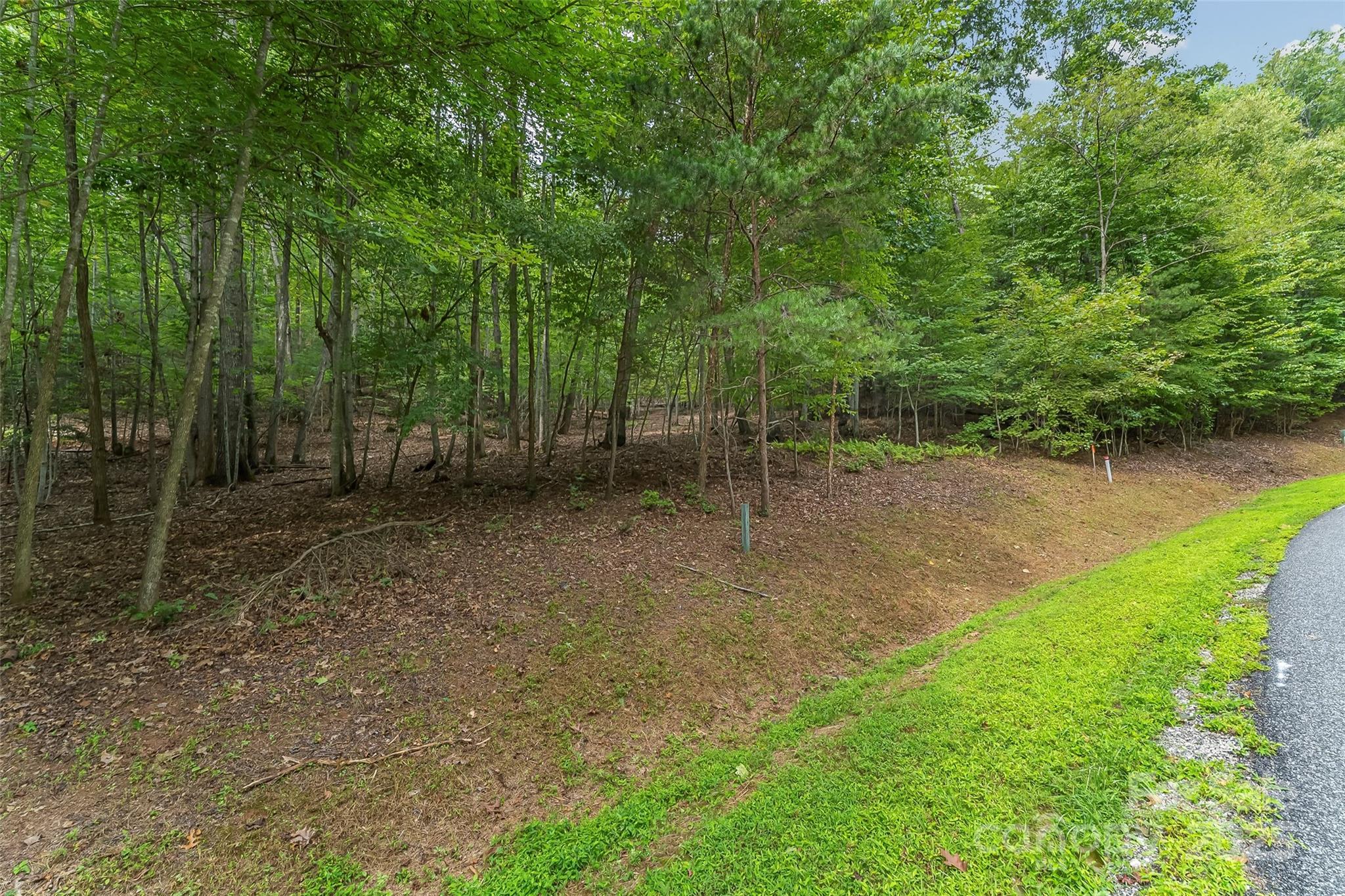 The Arbor at Lake James - Land