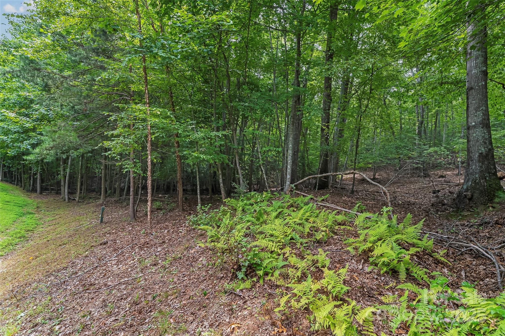 The Arbor at Lake James - Land