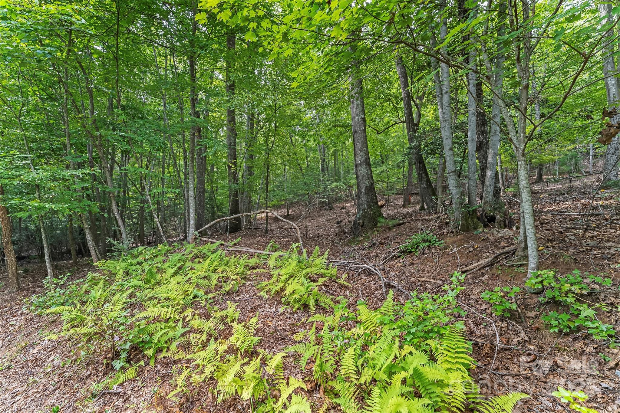 The Arbor at Lake James - Land