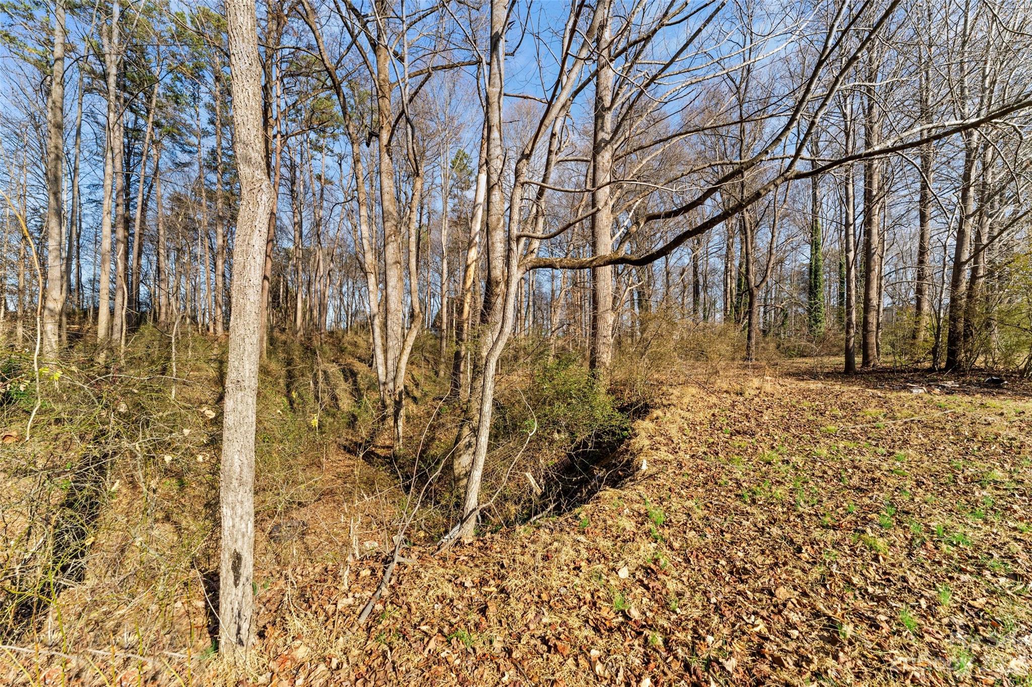 Cain Road Estates - Residential