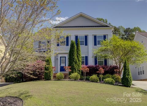 Photo of 10029 Daufuskie Drive, Charlotte, NC 28278 (MLS # 4204538)