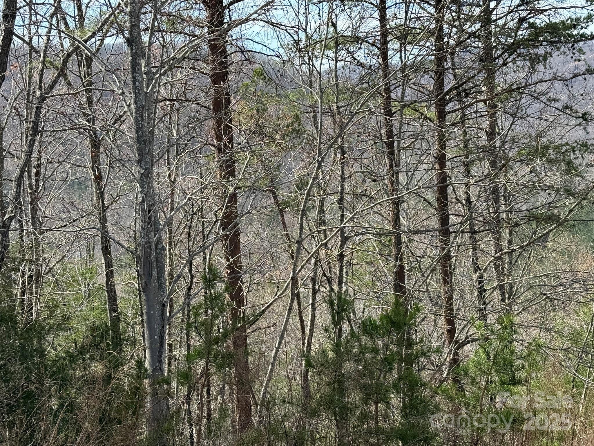 South Mountain Peaks - Land