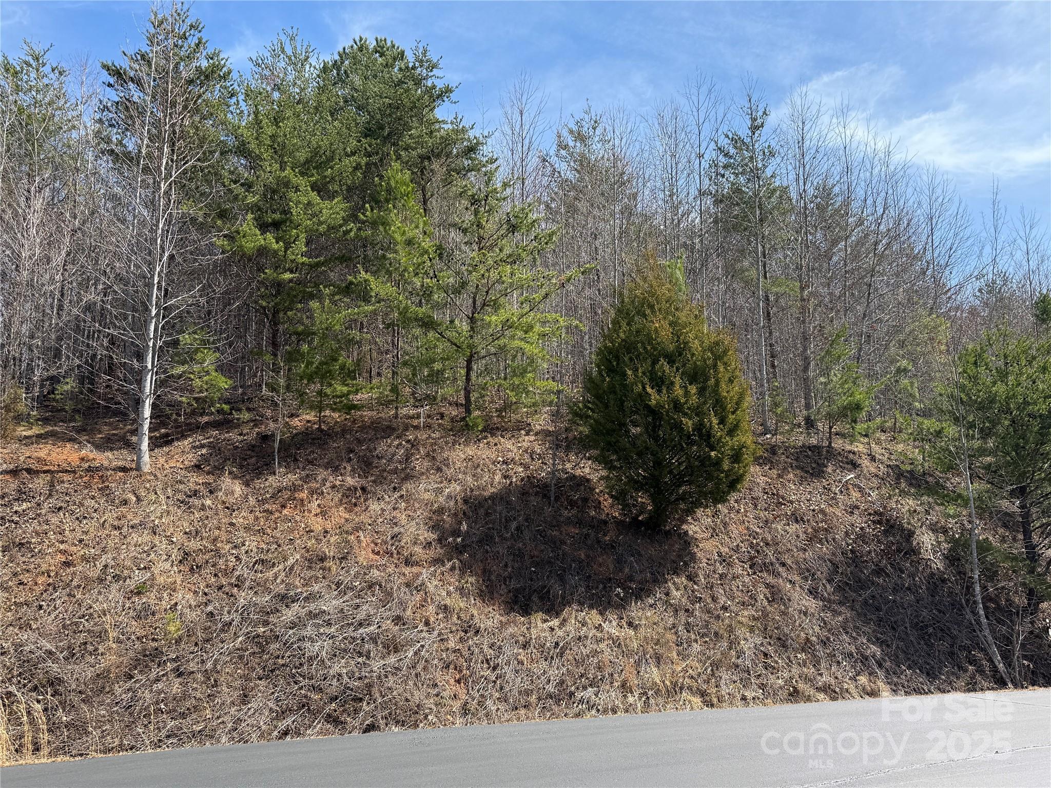 South Mountain Peaks - Land