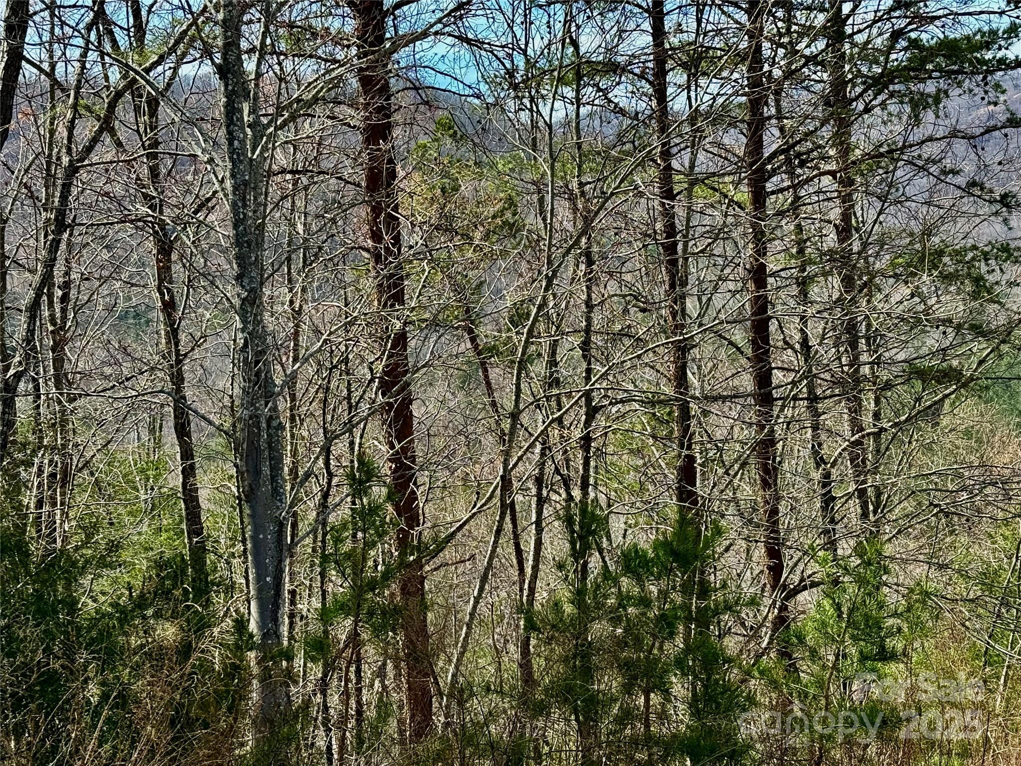 South Mountain Peaks - Land