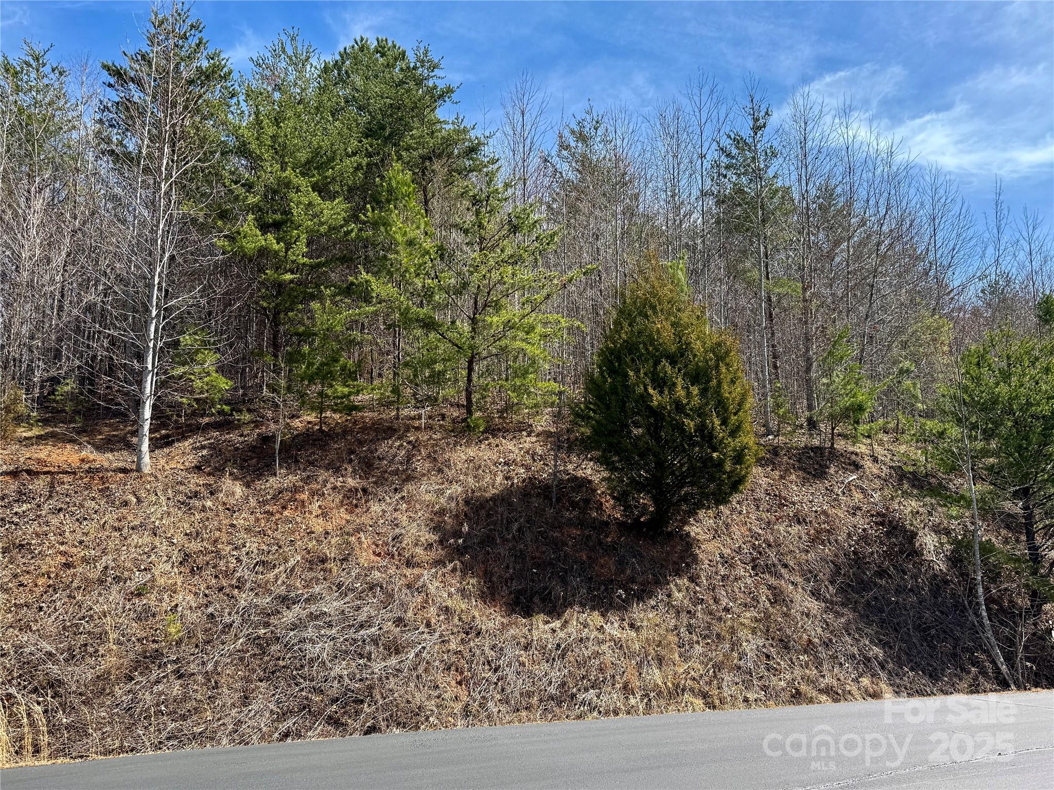 South Mountain Peaks - Land